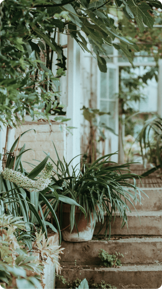 幅広い
送客ネットワーク